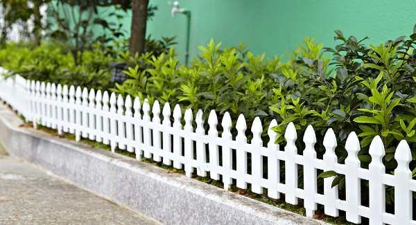 Garden Fence Design Ideas for Home Online India