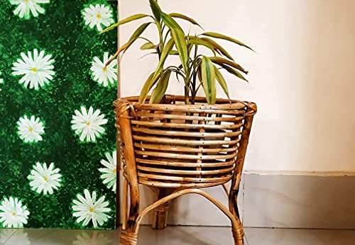 6 Unique Bamboo Plant Stands for Home in India 2023