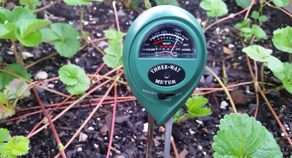 2 in 1 Soil Moisture Meter and PH Level Tester for Plants Crops Flowers Vegetable Farm for Flowers Home Potted Plants,Lawn and Farm Gardens Vegetable 