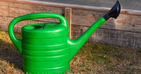 5L Klassic KL-100 Plastic Green Watering Can for Plants/Garden/with Sprayer 