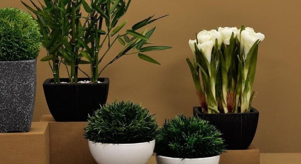 10 Decorative Artificial Plants for Bedroom in India 2023