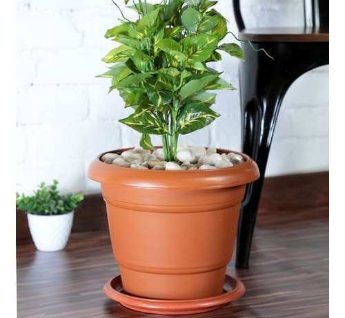 10 Best Plastic Pots for Plants in India 2023