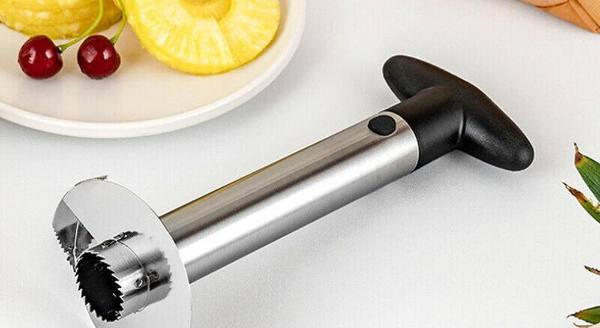 5 Best PineApple Cutters in India 2022